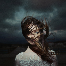 Alex Pedan Photographer | Reviews