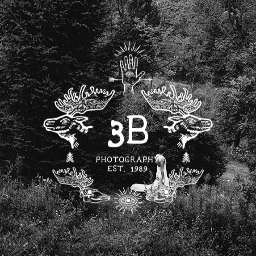 3B Photography Photographer | Reviews