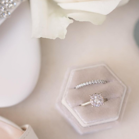 Elegance in Frame Photographer Elegance in Frame Photographer