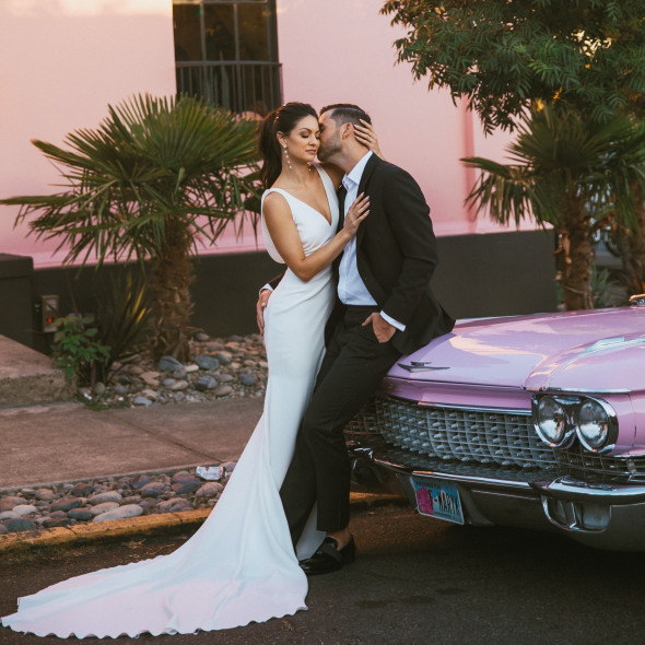 Wildfelt Photographer