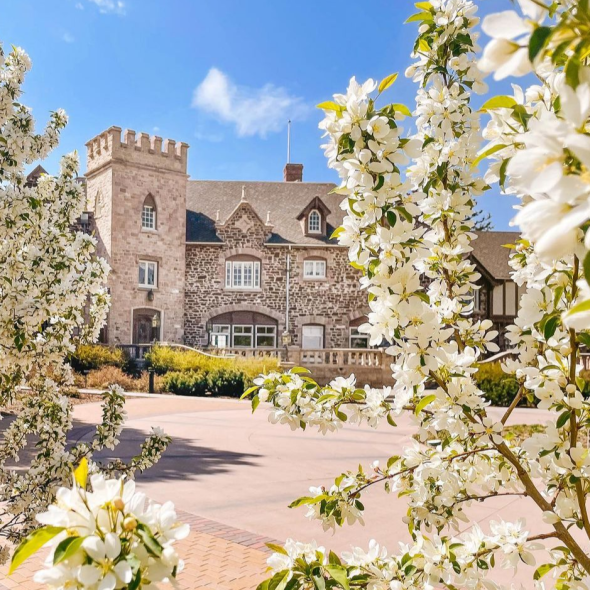 Highlands Ranch Mansion Venues