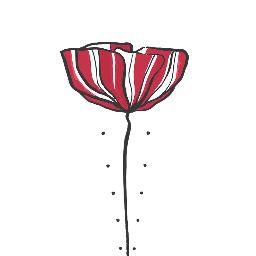 The Velvet Poppy Floral Designer