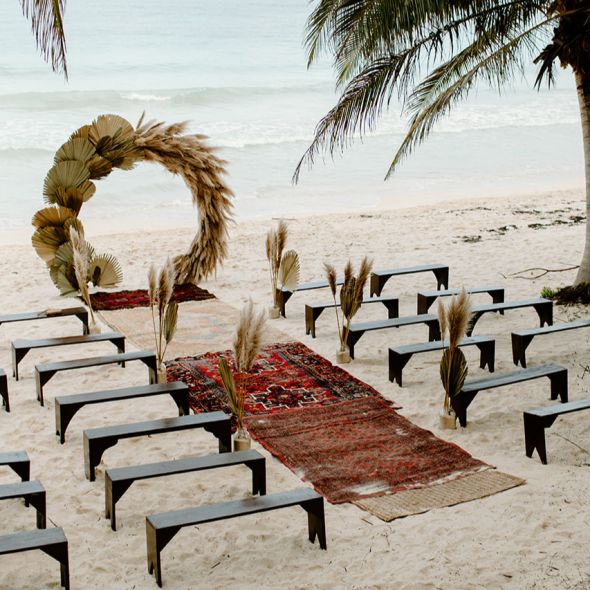 Tiarra Sorte Photographer