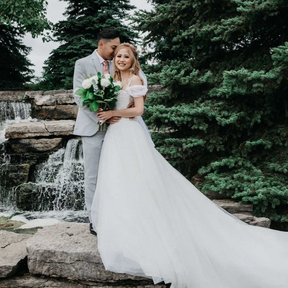 Timeless Tree Photographer