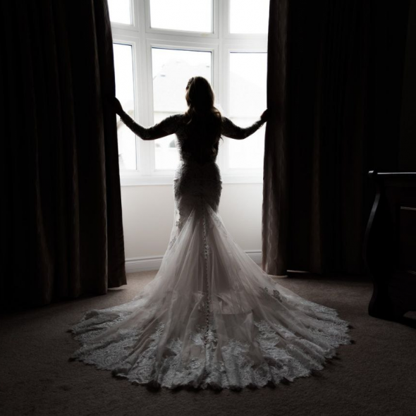 Timeless Tree Photographer