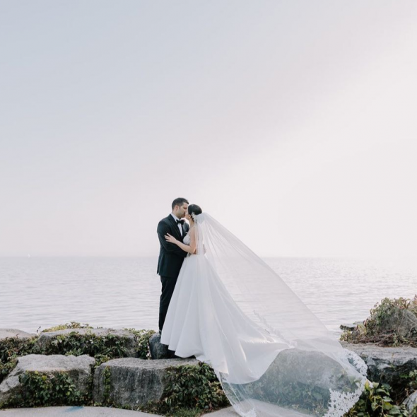 Timeless Tree Photographer