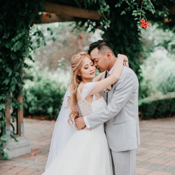 Timeless Tree Photographer