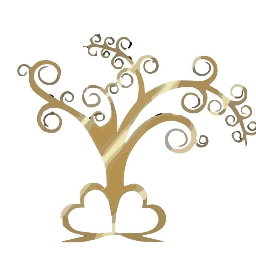 Timeless Tree Videographer | Videos