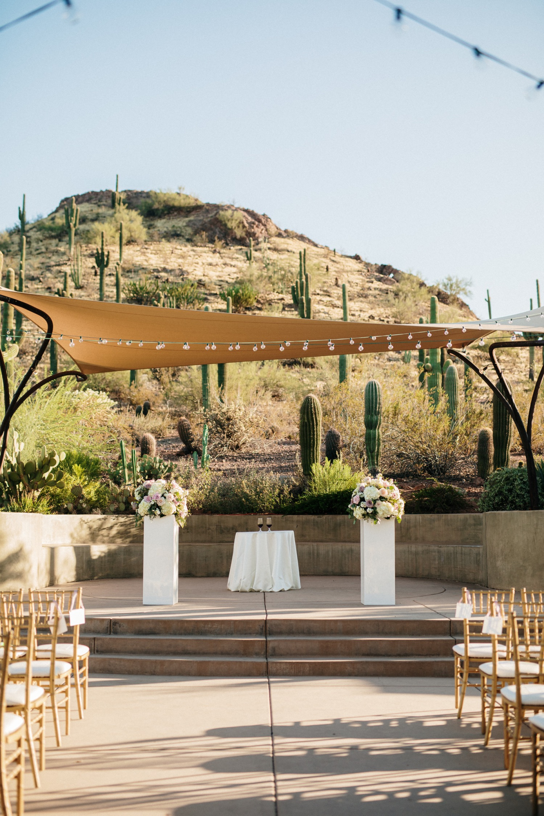 Desert Botanical Garden Wedding Venue in Phoenix ️ Portfolio Desert Botanical Garden Wedding Venue in Phoenix ️ Portfolio