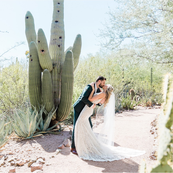 Desert Botanical Garden Venues Desert Botanical Garden Venues