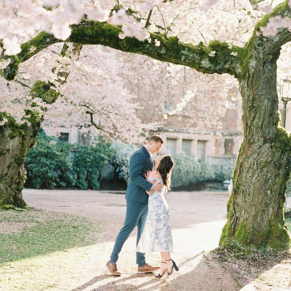 Blue Rose Photographer