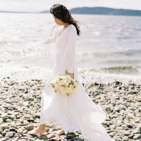 Blue Rose Photographer