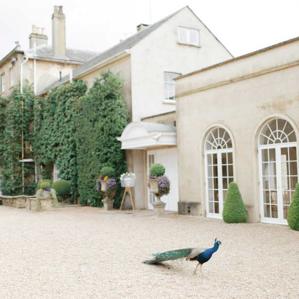 Northbrook Park Weddings Venues