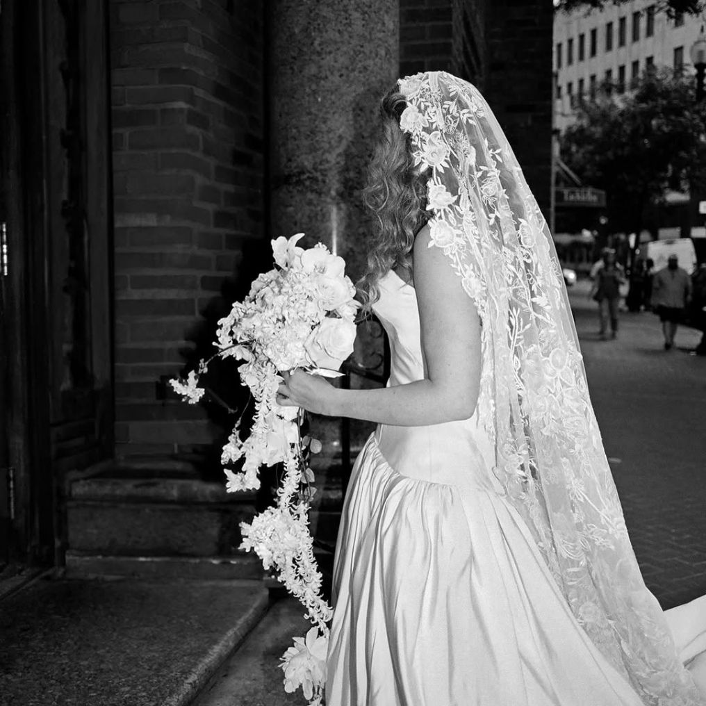 Mo Davis Photographer Mo Davis Photographer photo