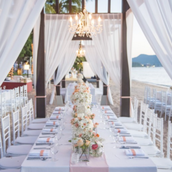 Amanda Novena Planner