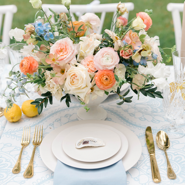 Kirsten Ann Photographer