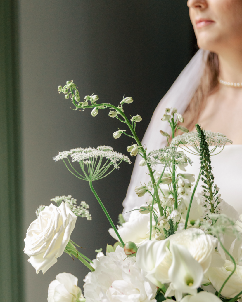 Hilary Elizabeth Photography Photographer