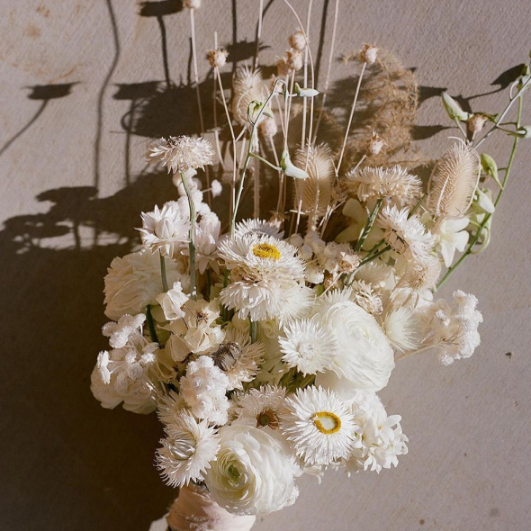 Jenna Powers Photographer