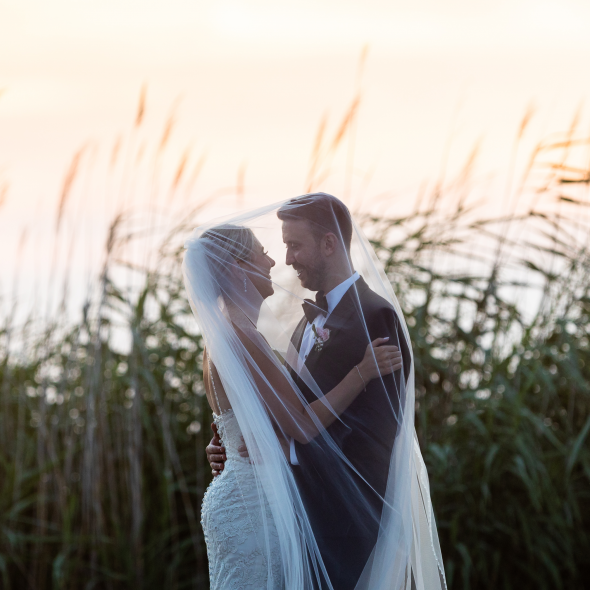 Ann Coen Photography Photographer