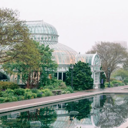 The Palm House Venue | About