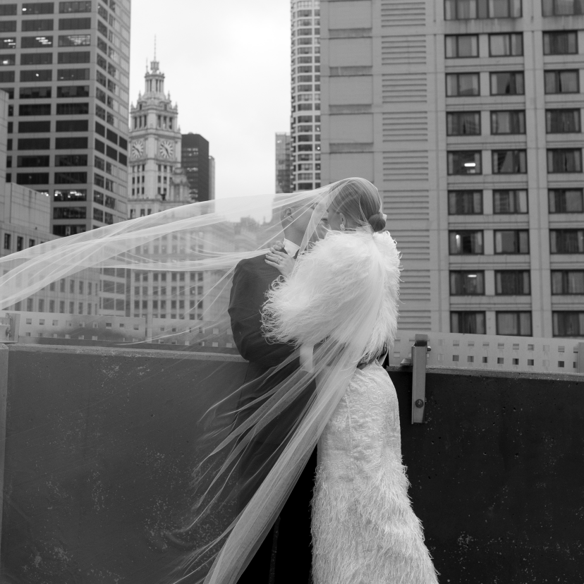 Fine Detailed Collective Photographer Fine Detailed Collective Photographer