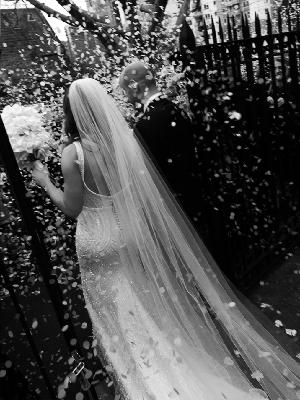 Phenomena Photography