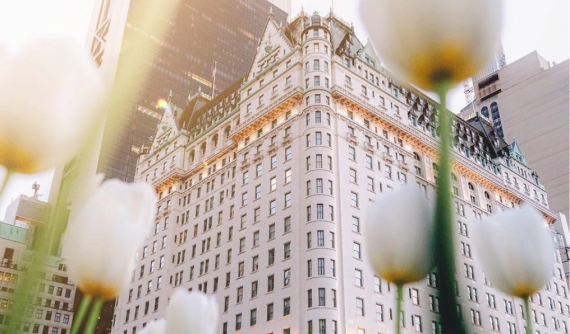 The Plaza Hotel